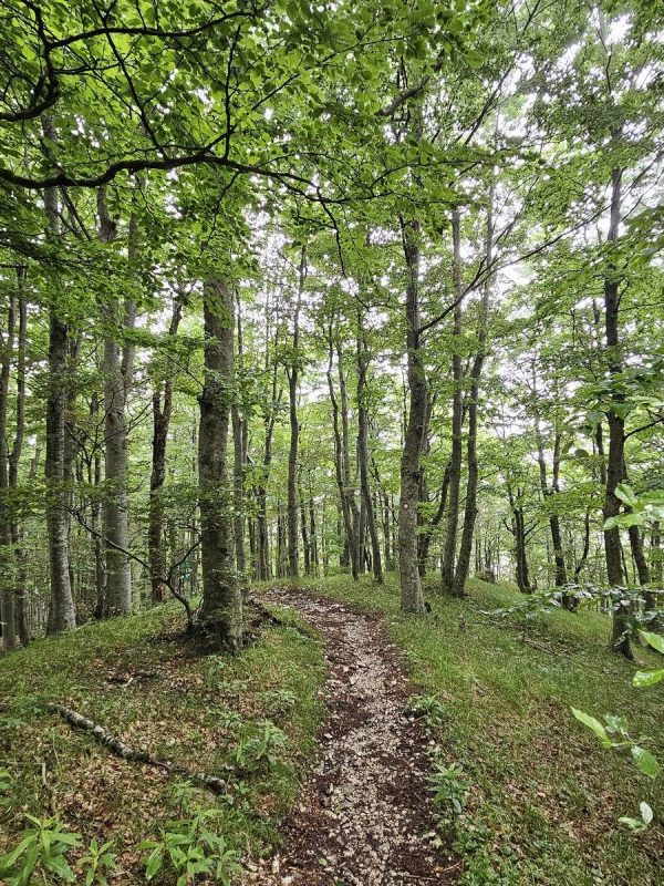 Staza-na-Poklon-Vojak